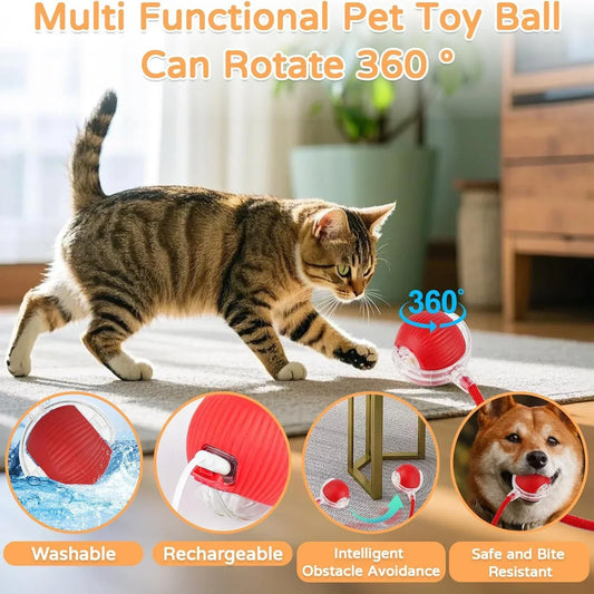 The Growing Mart Interactive Cat Toy – Automatic Rolling Smart Ball for Endless Play