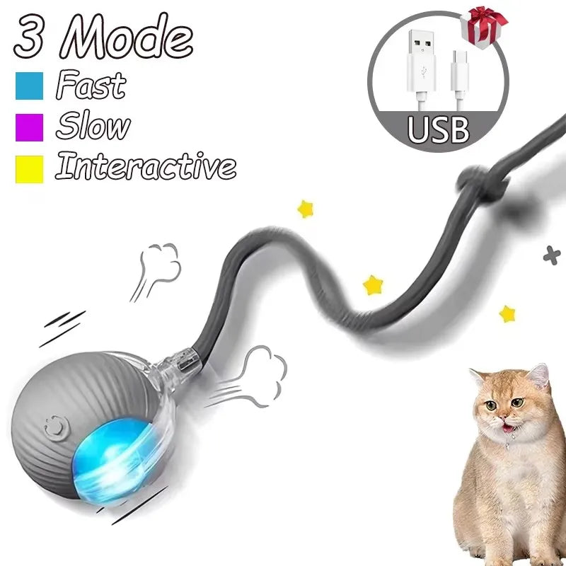 The Growing Mart Interactive Cat Toy – Automatic Rolling Smart Ball for Endless Play