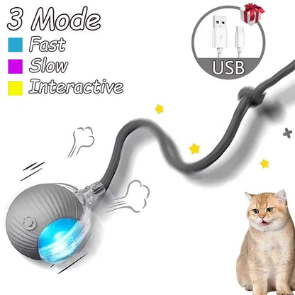The Growing Mart Interactive Cat Toy – Automatic Rolling Smart Ball for Endless Play