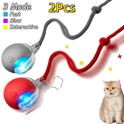 The Growing Mart Interactive Cat Toy – Automatic Rolling Smart Ball for Endless Play