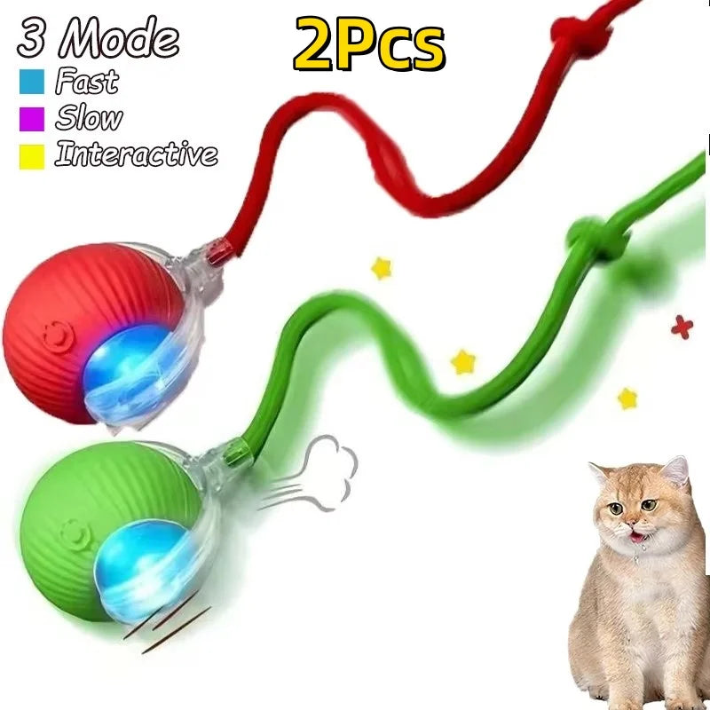The Growing Mart Interactive Cat Toy – Automatic Rolling Smart Ball for Endless Play