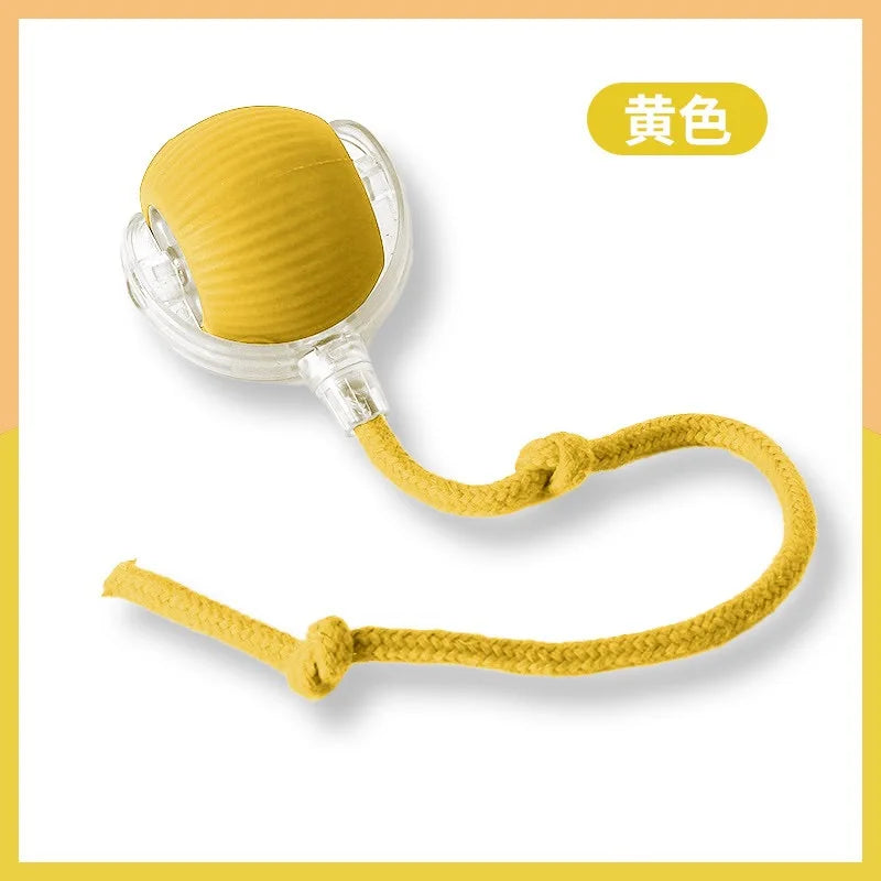 The Growing Mart Interactive Cat Toy – Automatic Rolling Smart Ball for Endless Play