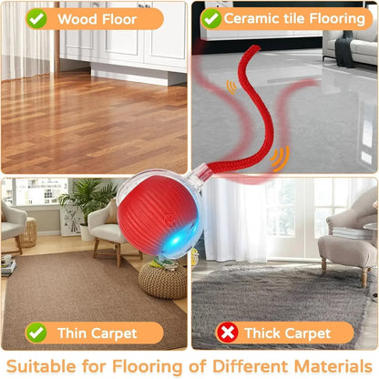 The Growing Mart Interactive Cat Toy – Automatic Rolling Smart Ball for Endless Play