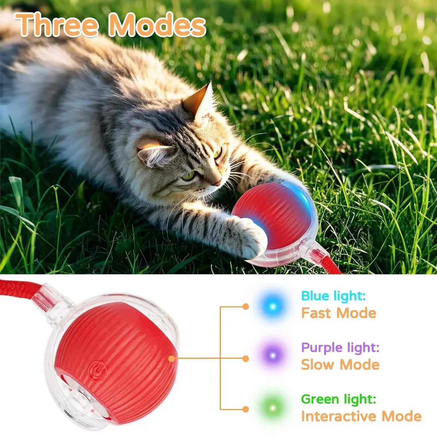 The Growing Mart Interactive Cat Toy – Automatic Rolling Smart Ball for Endless Play