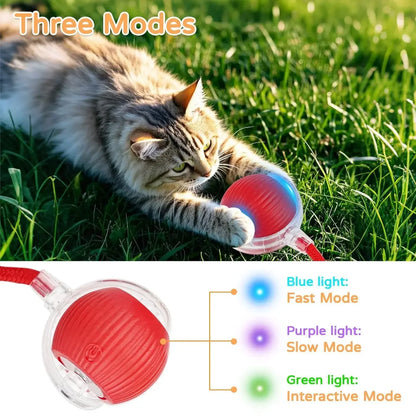 The Growing Mart Interactive Cat Toy – Automatic Rolling Smart Ball for Endless Play