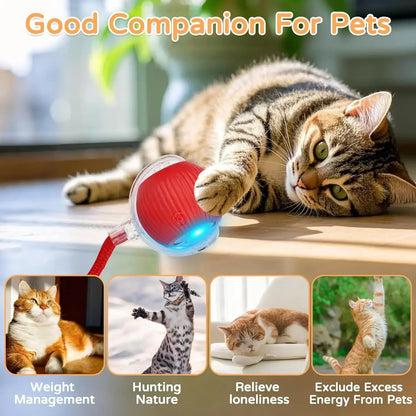 The Growing Mart Interactive Cat Toy – Automatic Rolling Smart Ball for Endless Play