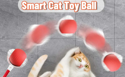 The Growing Mart Interactive Cat Toy – Automatic Rolling Smart Ball for Endless Play