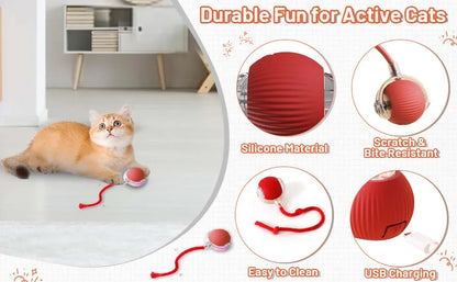 The Growing Mart Interactive Cat Toy – Automatic Rolling Smart Ball for Endless Play